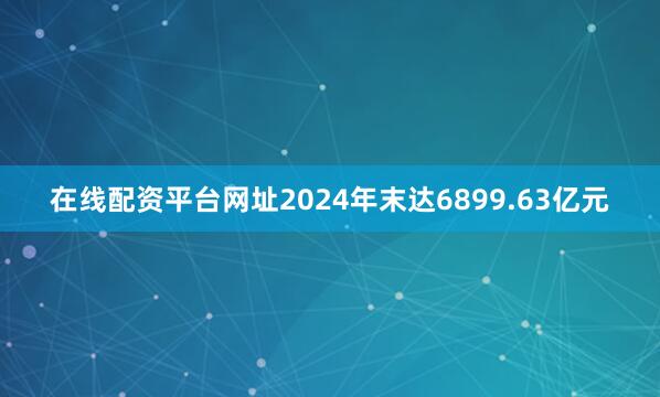 在线配资平台网址2024年末达6899.63亿元