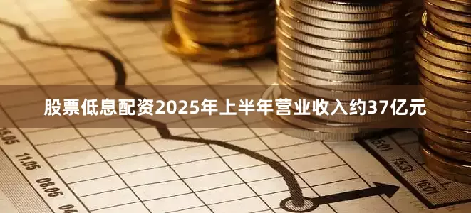 股票低息配资2025年上半年营业收入约37亿元