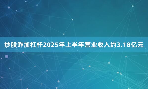 炒股咋加杠杆2025年上半年营业收入约3.18亿元