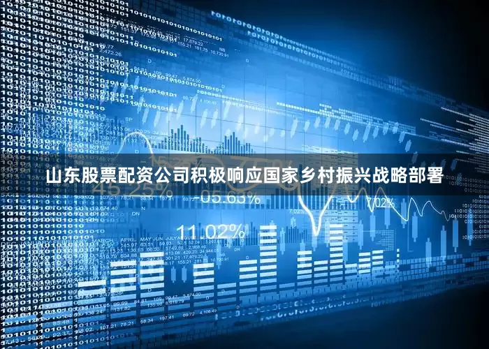 山东股票配资公司积极响应国家乡村振兴战略部署